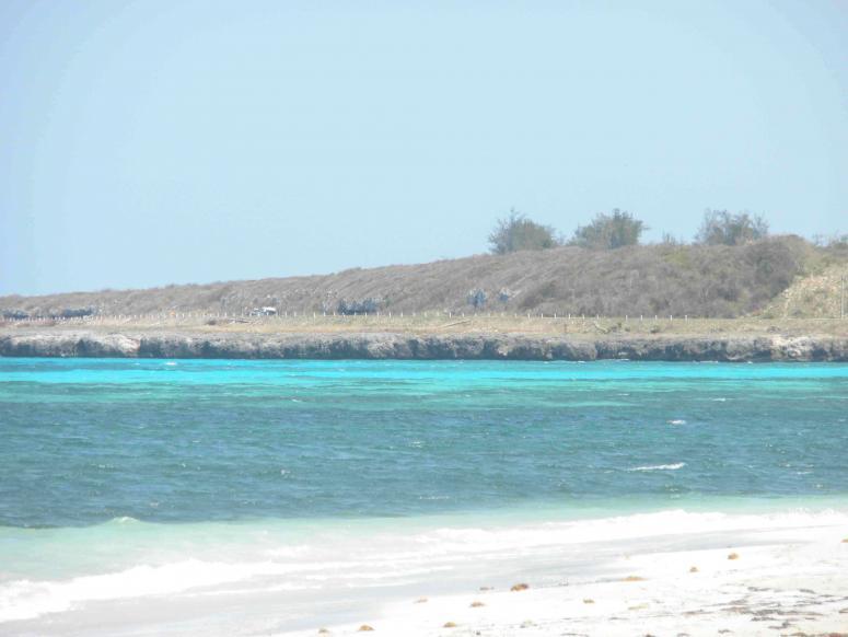 brisas laguna